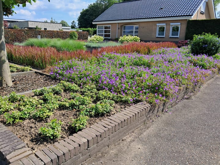 Photo 73 of Trambaan 25