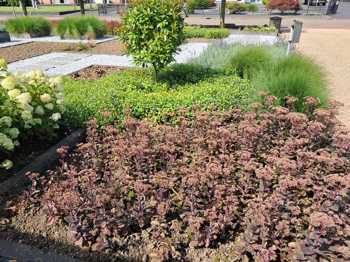 Photo 75 of Trambaan 25