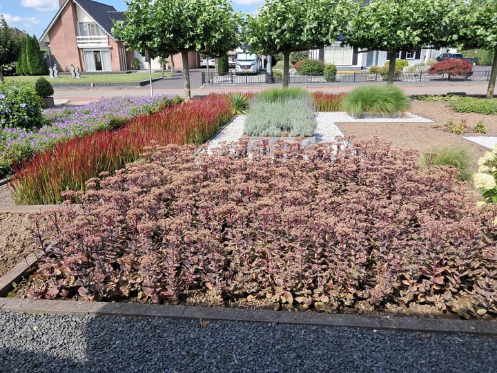 Photo 76 of Trambaan 25