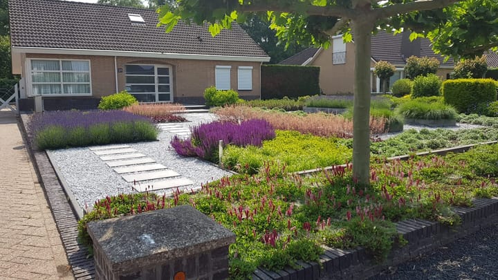 Photo 78 of Trambaan 25