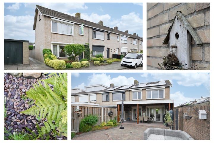 Foto 2 van Tjalkstraat 1