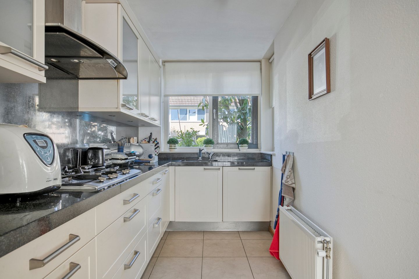 Foto 10 van Renata 4