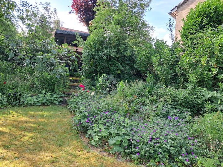 Foto 52 van Haarenseweg 7-A