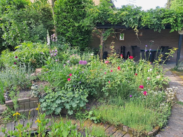 Foto 53 van Haarenseweg 7-A