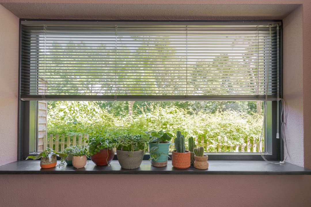 Foto 22 van Moeder Lambertastraat 9