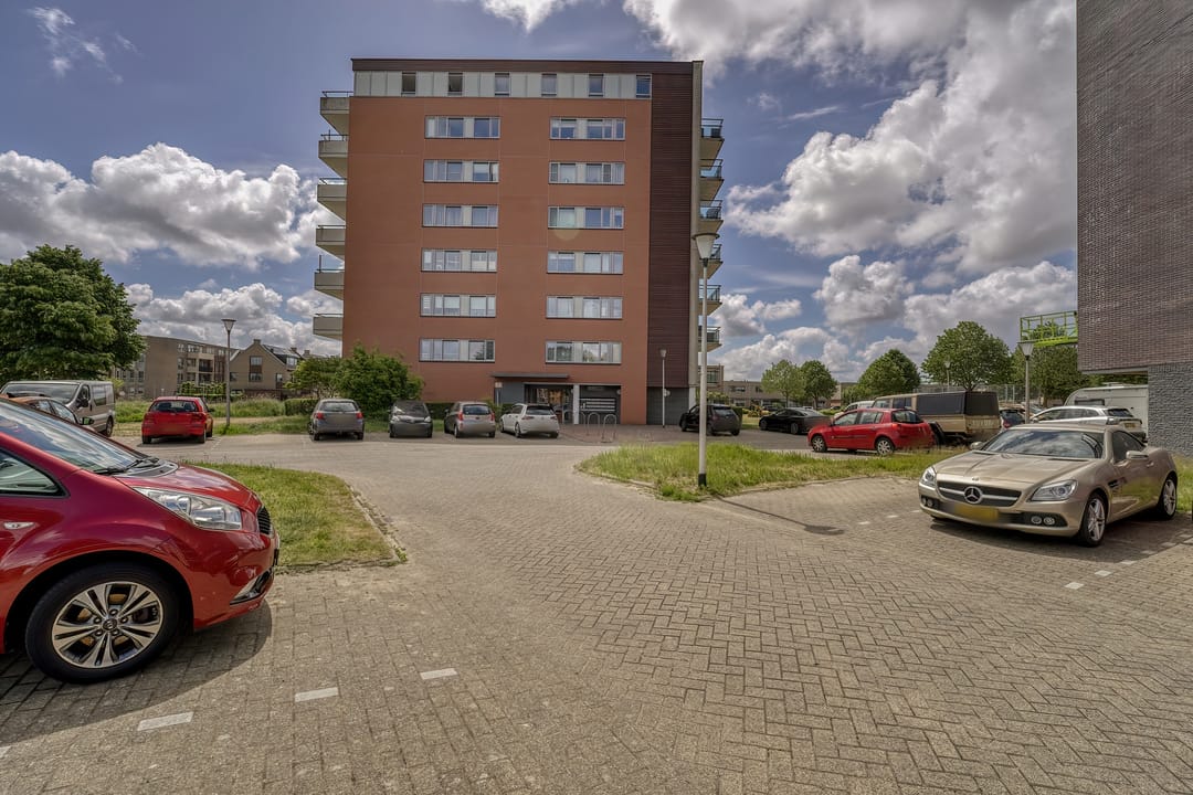 Foto 1 van Parnassia 253