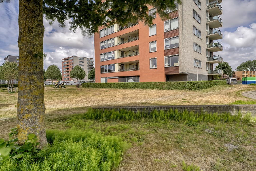 Foto 23 van Parnassia 253