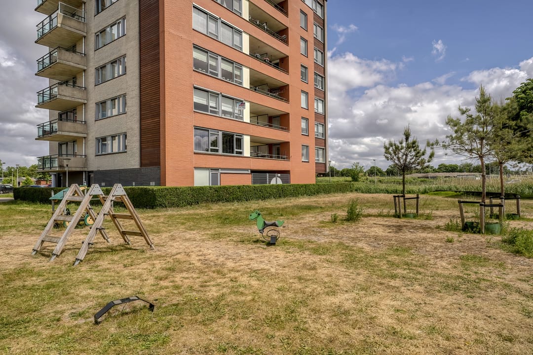 Foto 26 van Parnassia 253