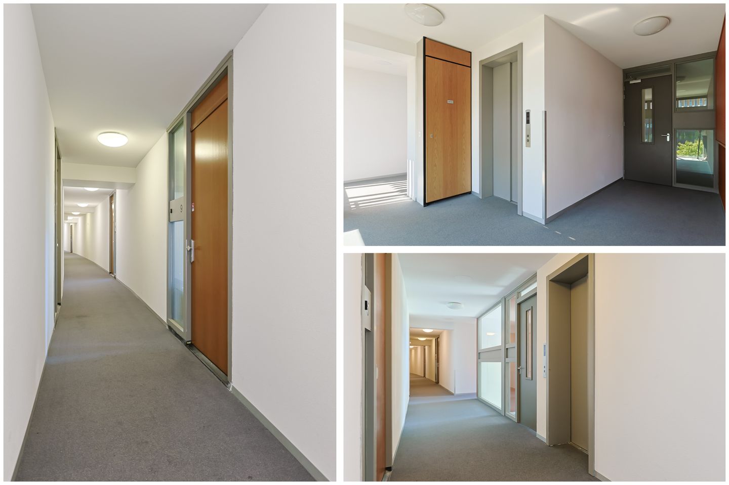 Foto 10 van Zuidland 9