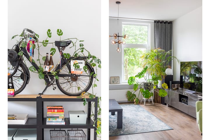 Foto 8 van Tolhuislaan 153