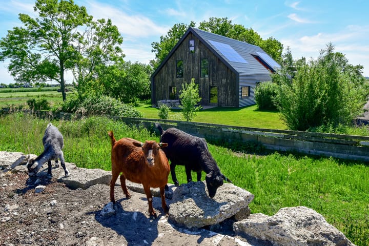 Bloemendalergouw 51 B