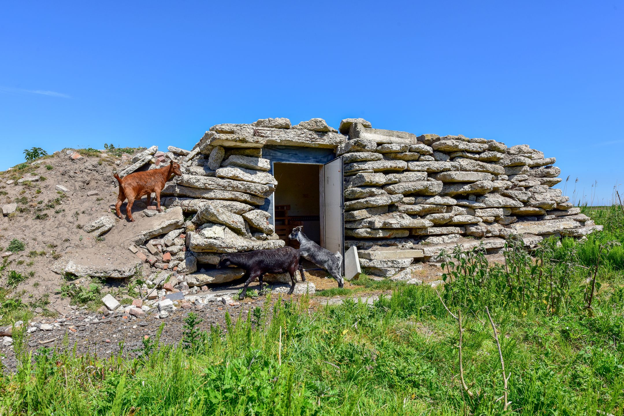 Foto 51 van Bloemendalergouw 51-B