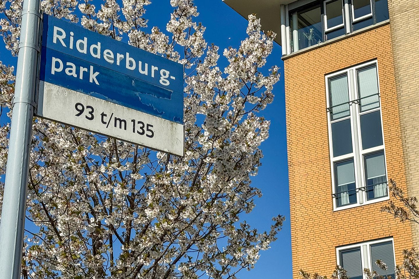 Photo 35 of Ridderburgpark 111