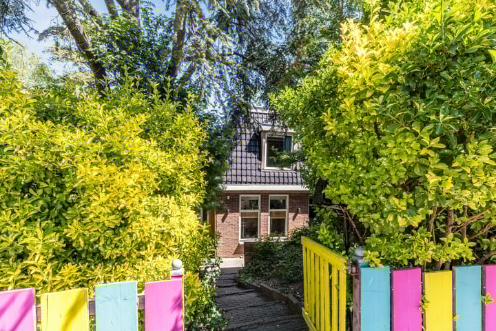 Foto 6 van Zuiddijk 237