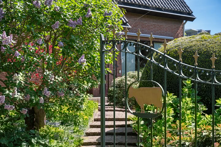 Foto 8 van Bermweg 31