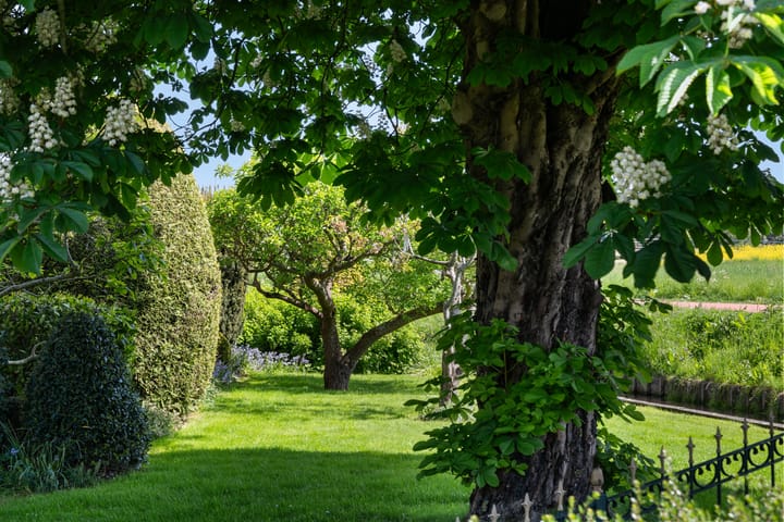 Foto 44 van Bermweg 31