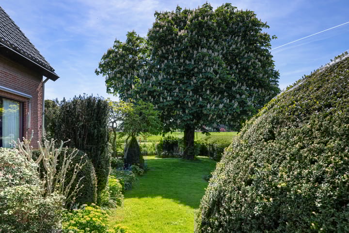 Foto 46 van Bermweg 31