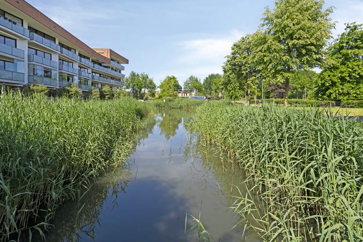 Foto 1 van Willem Barentszstraat 61