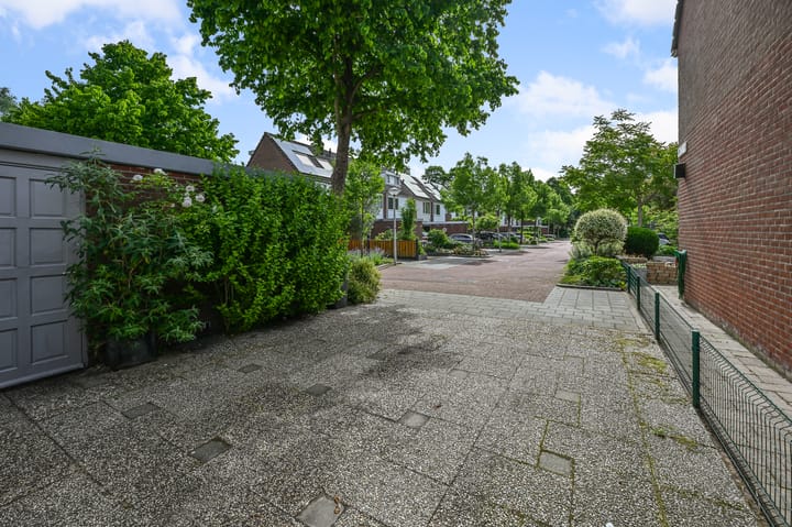 Foto 2 van Speenkruid 58