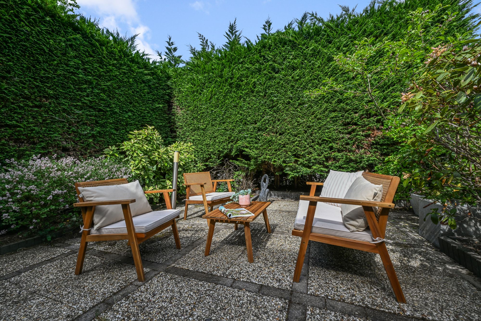 Photo 15 of Speenkruid 58