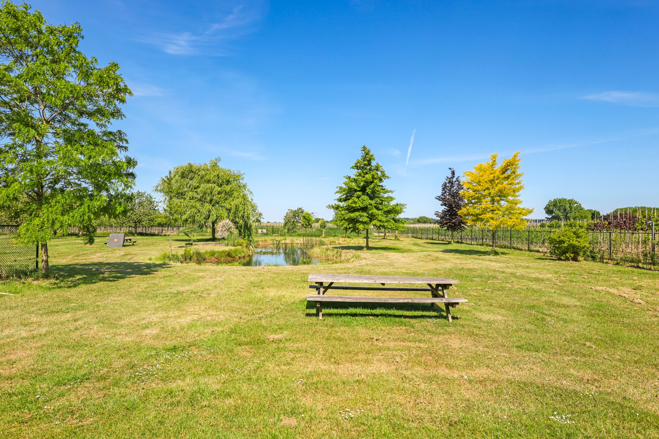 Foto 75 van Nijburgsestraat 14