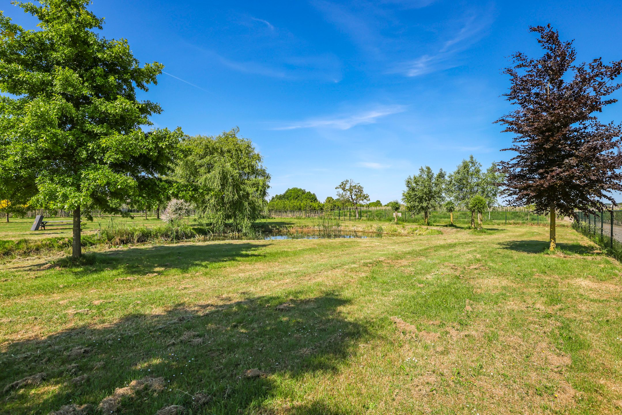 Foto 78 van Nijburgsestraat 14