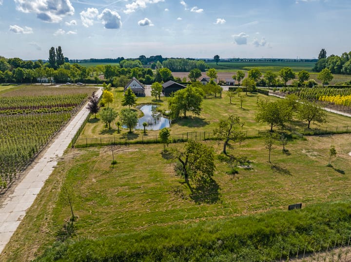 Photo 79 of Nijburgsestraat 14