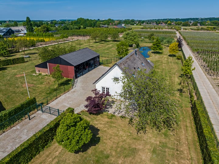 Photo 83 of Nijburgsestraat 14