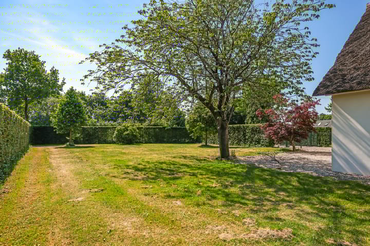 Photo 92 of Nijburgsestraat 14