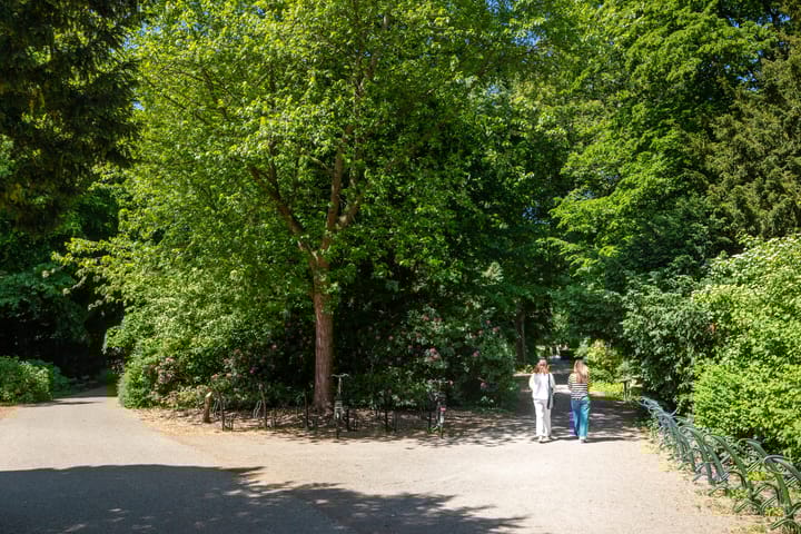 Foto 28 van Abraham Kuijperstraat 38