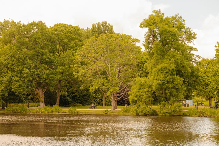 Foto 26 van Waldeck Pyrmontlaan 4-3