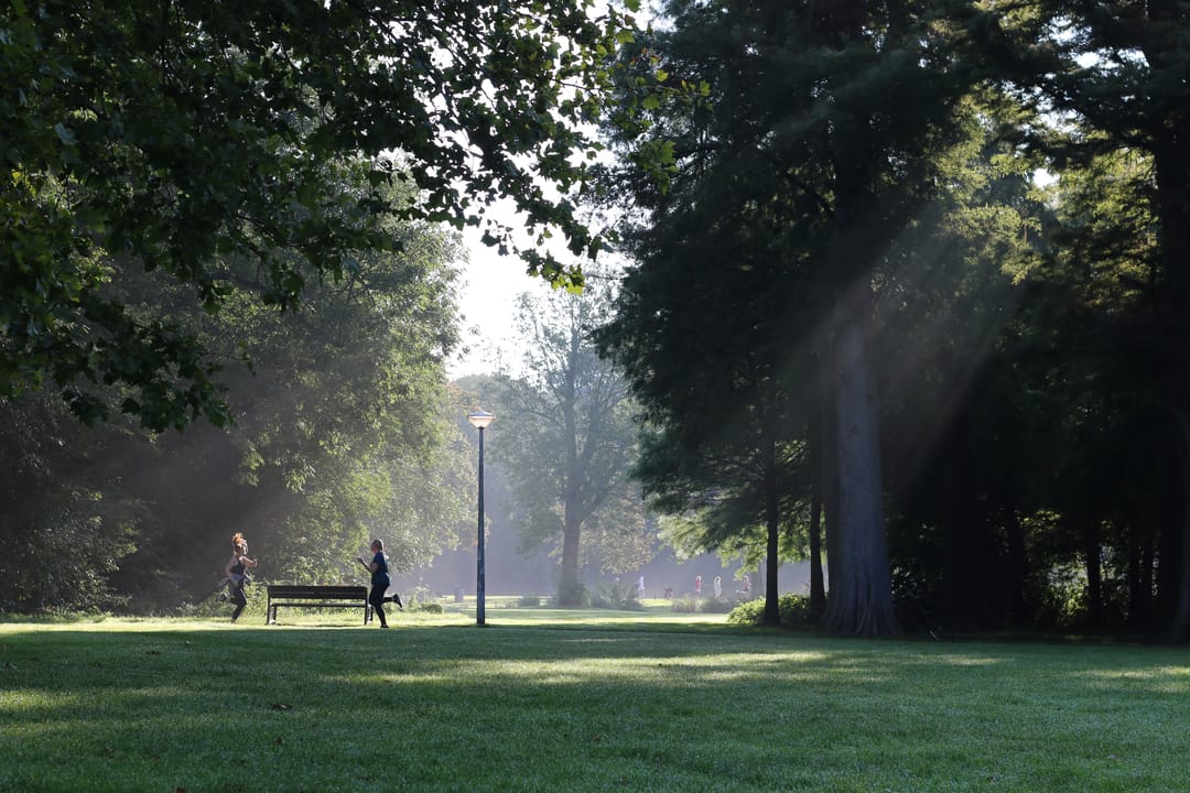 Photo 28 of Waldeck Pyrmontlaan 4-3