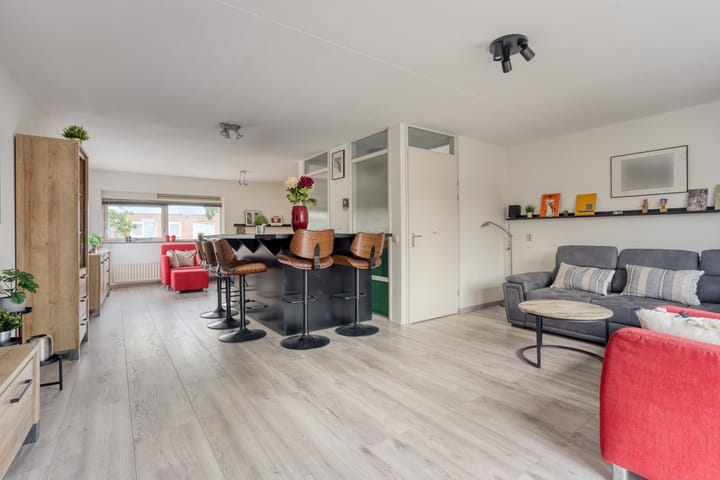 Foto 3 van Gele Plomp 2