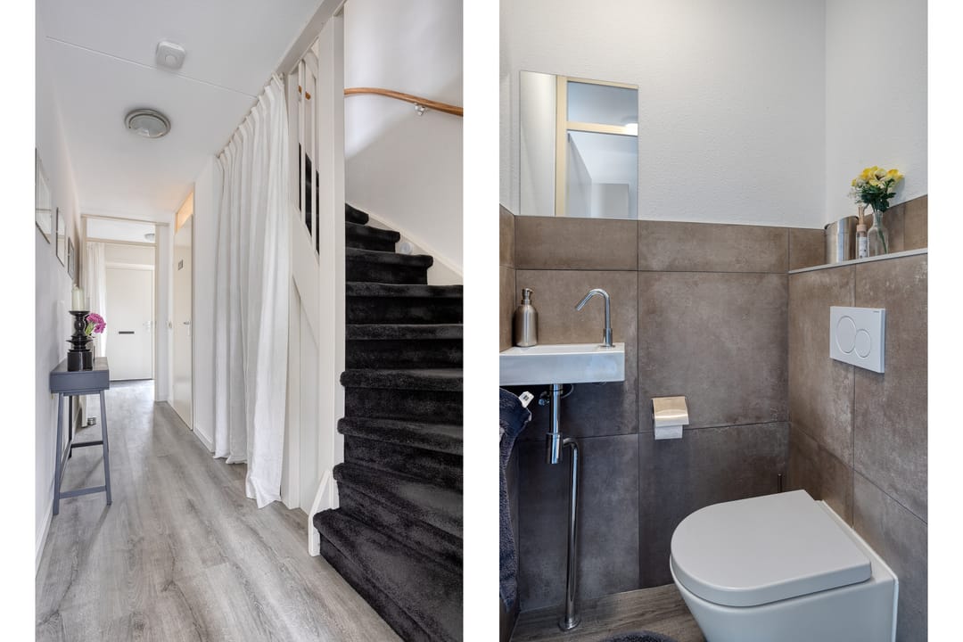 Foto 7 van Gele Plomp 2