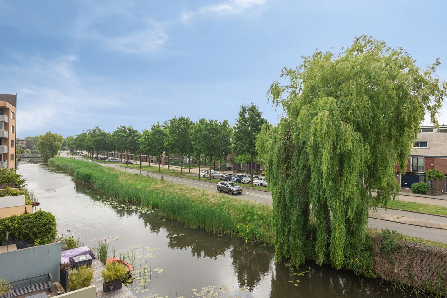 Foto 5 van Gele Plomp 2