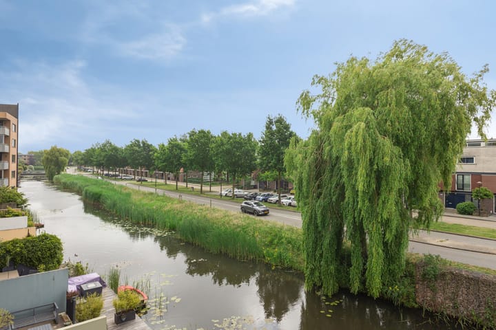 Foto 5 van Gele Plomp 2