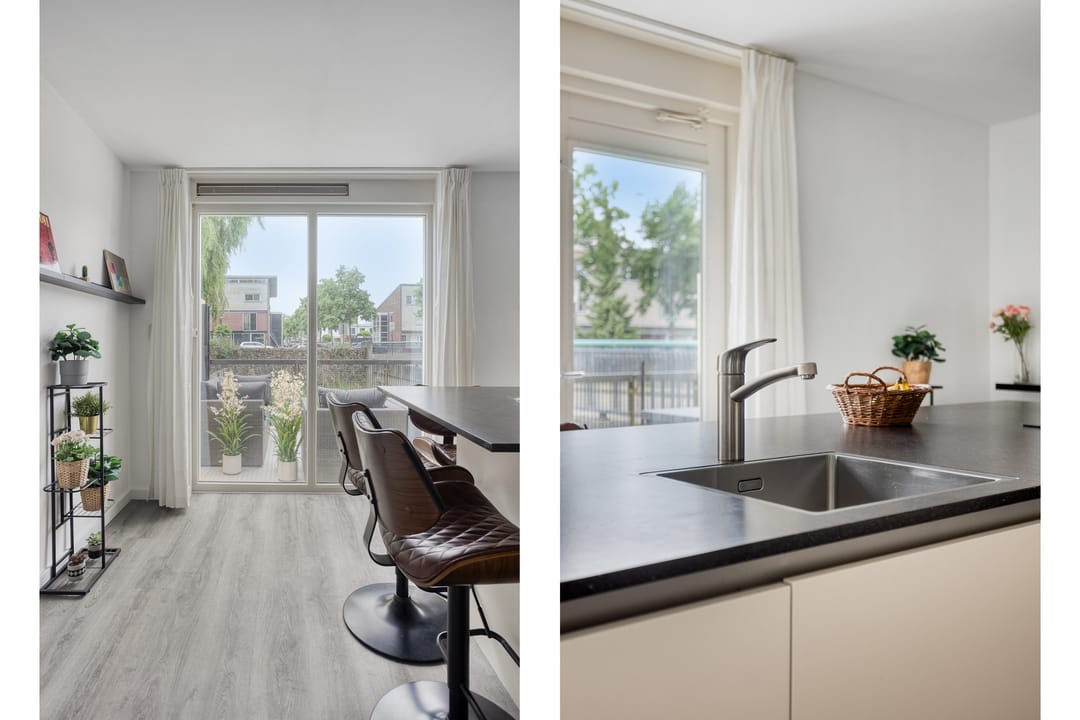 Foto 8 van Gele Plomp 2