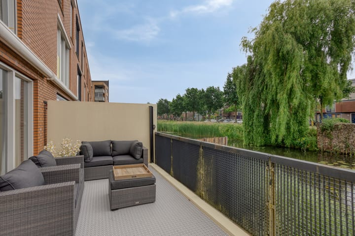 Foto 14 van Gele Plomp 2