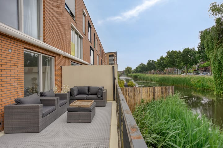 Foto 16 van Gele Plomp 2