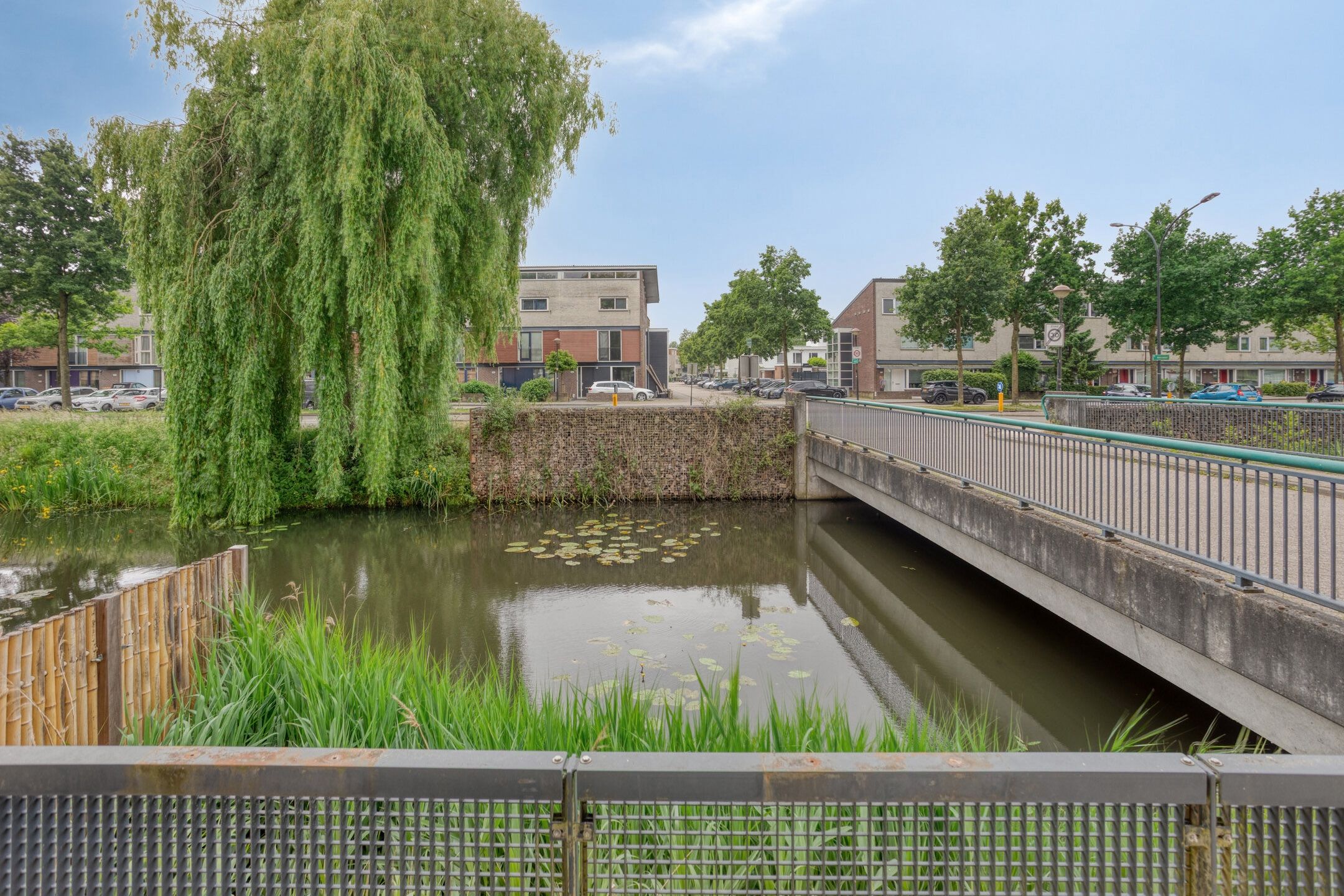 Foto 15 van Gele Plomp 2