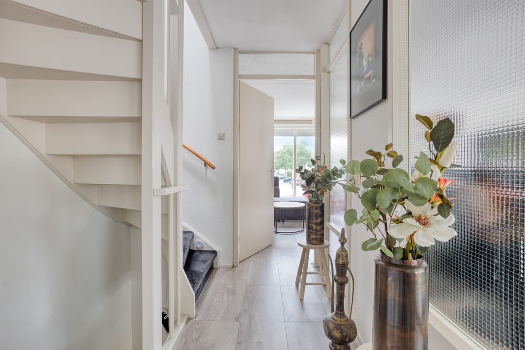 Foto 17 van Gele Plomp 2