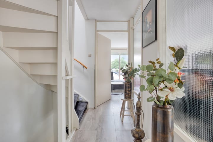 Foto 17 van Gele Plomp 2