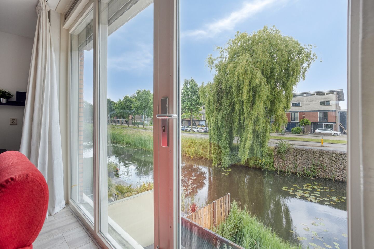 Foto 20 van Gele Plomp 2