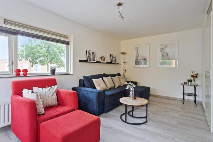 Foto 24 van Gele Plomp 2