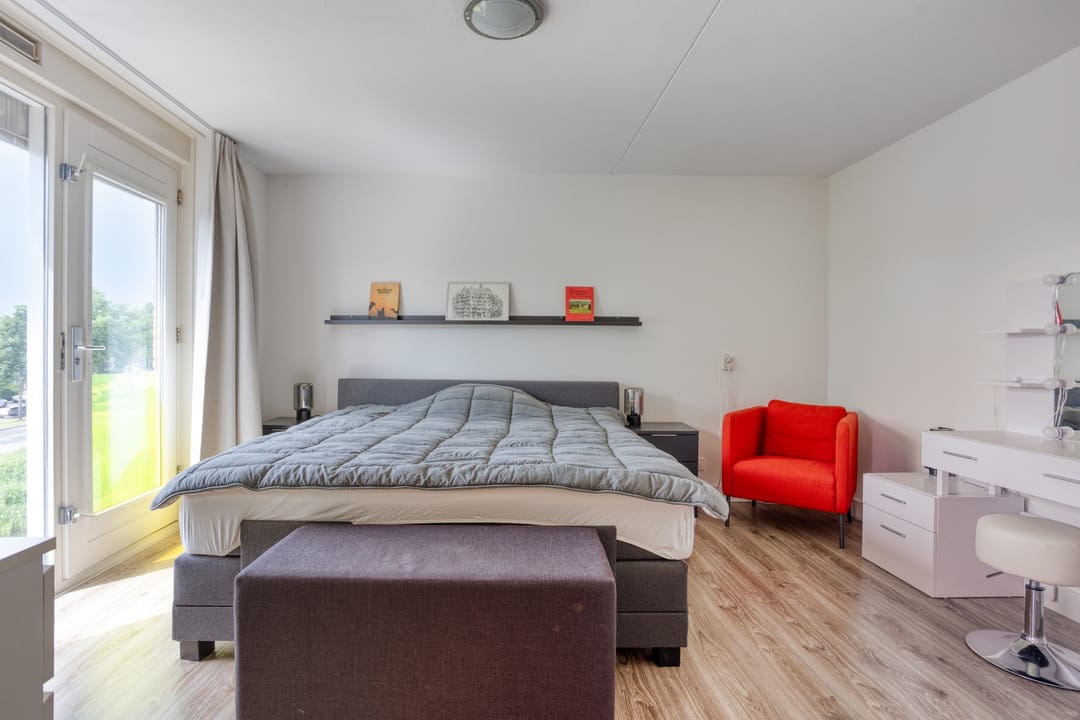 Foto 28 van Gele Plomp 2