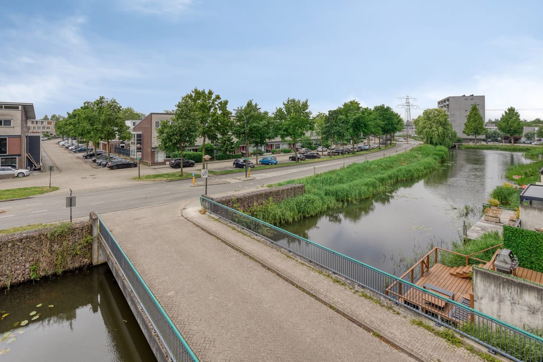 Foto 31 van Gele Plomp 2