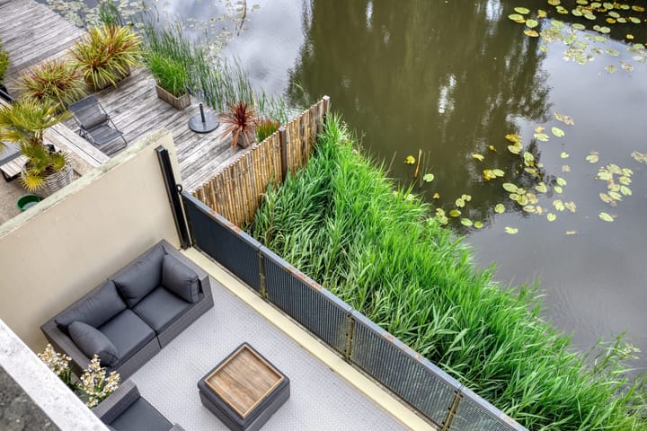 Foto 32 van Gele Plomp 2