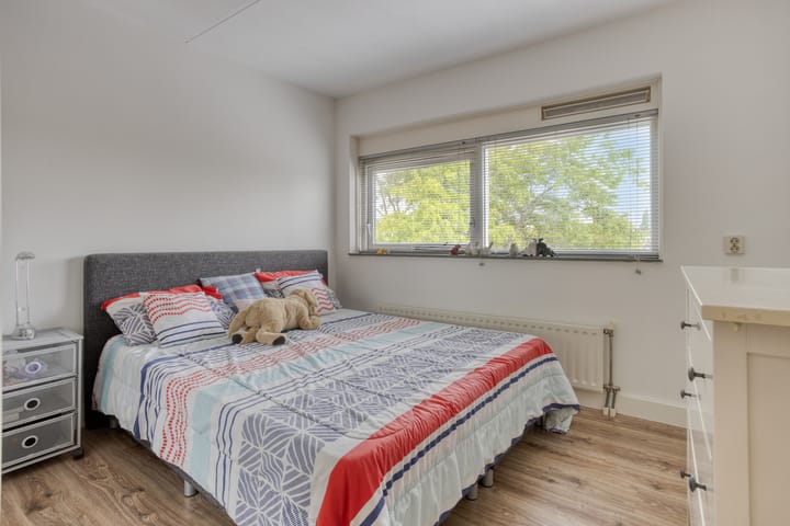 Foto 34 van Gele Plomp 2