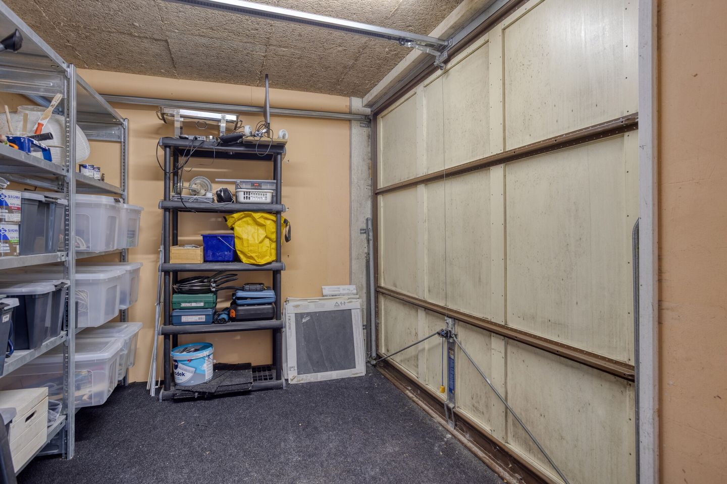 Foto 35 van Gele Plomp 2