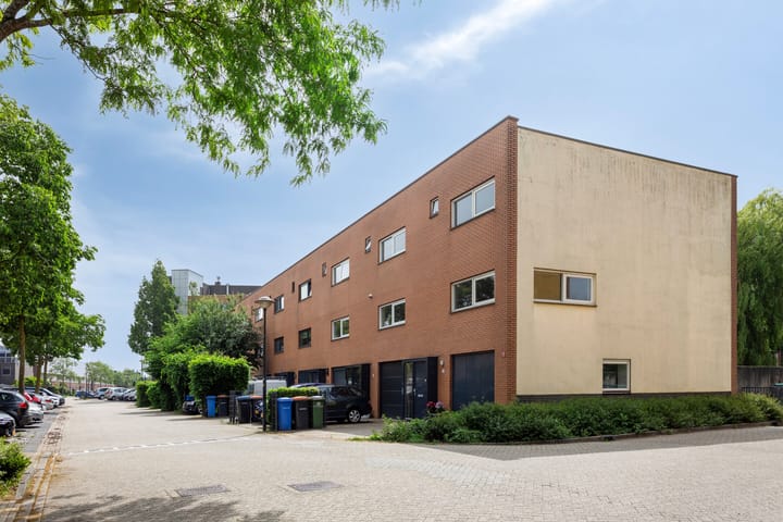 Foto 37 van Gele Plomp 2